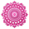 Buy Pink Mandala